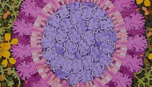 Novel Corona Virus Makes the Protein Data Bank