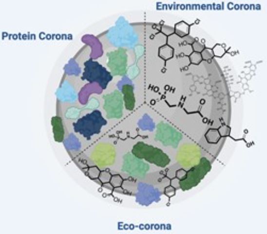 Ecological Social Justice Terror: The Nano Corona Affair