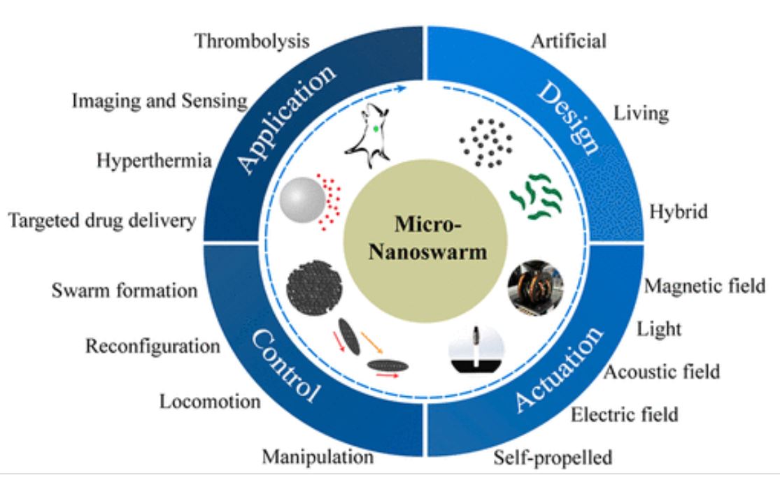 Release of Micro-Nano-Swarms: Biological Slaughterbots