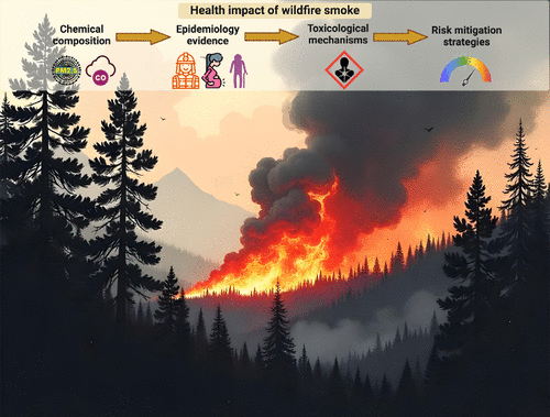 Wildfire Smoke: Health Effects, Mechanisms, and Mitigation