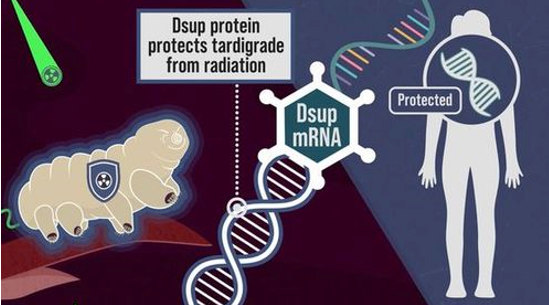 Summary: The Dangers of the Tardigrade Revolution Begins